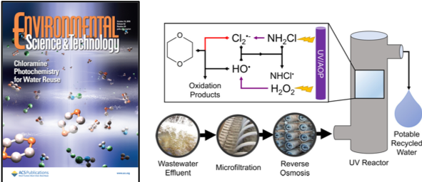 Publications | Liu Research Group